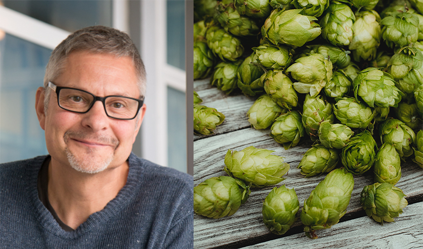 Collage of photos of close up of hops and a portrait of a man.