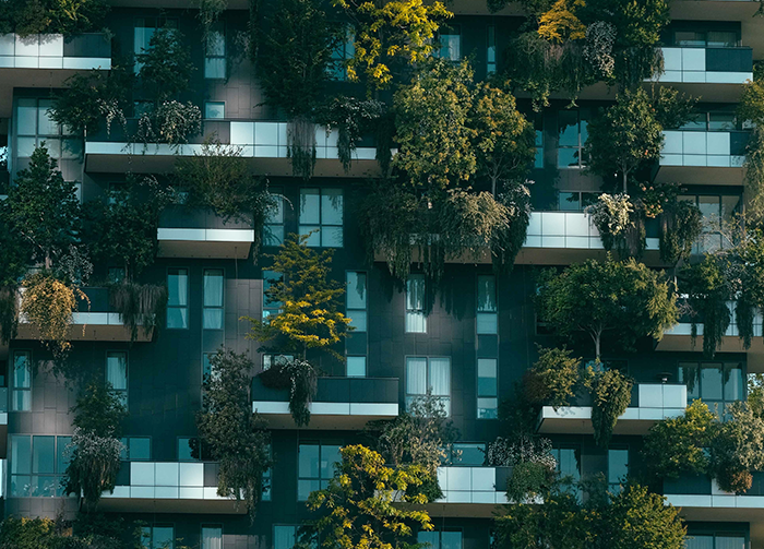 Building with vegetation on it. Photo.